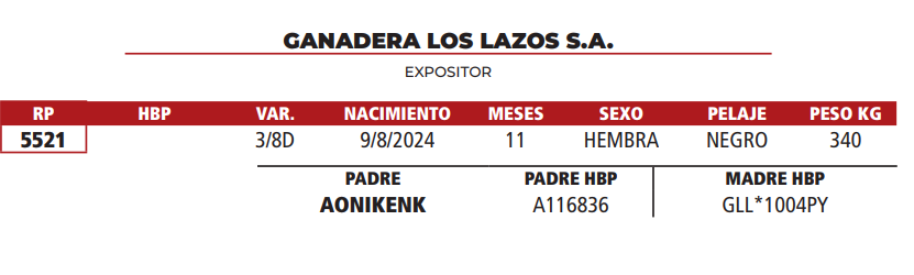 Lote LOTE 19