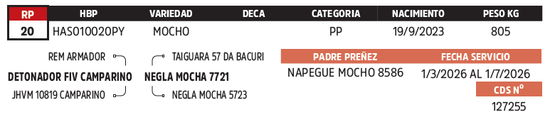 Lote LOTE 34
