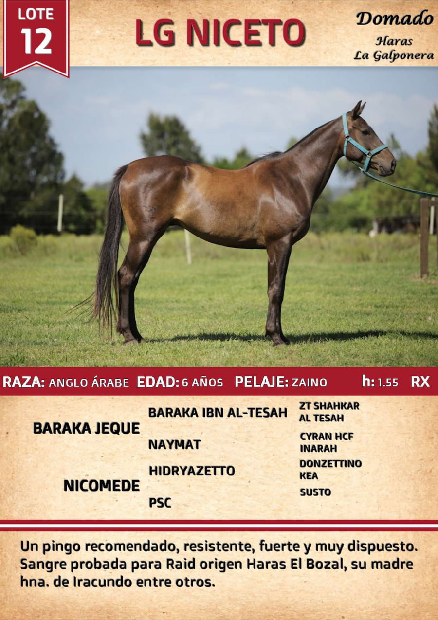 Lote LA NICETO