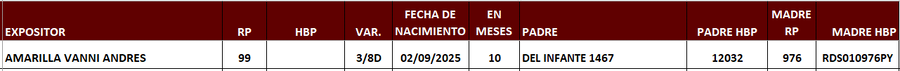 Lote LOTE 7