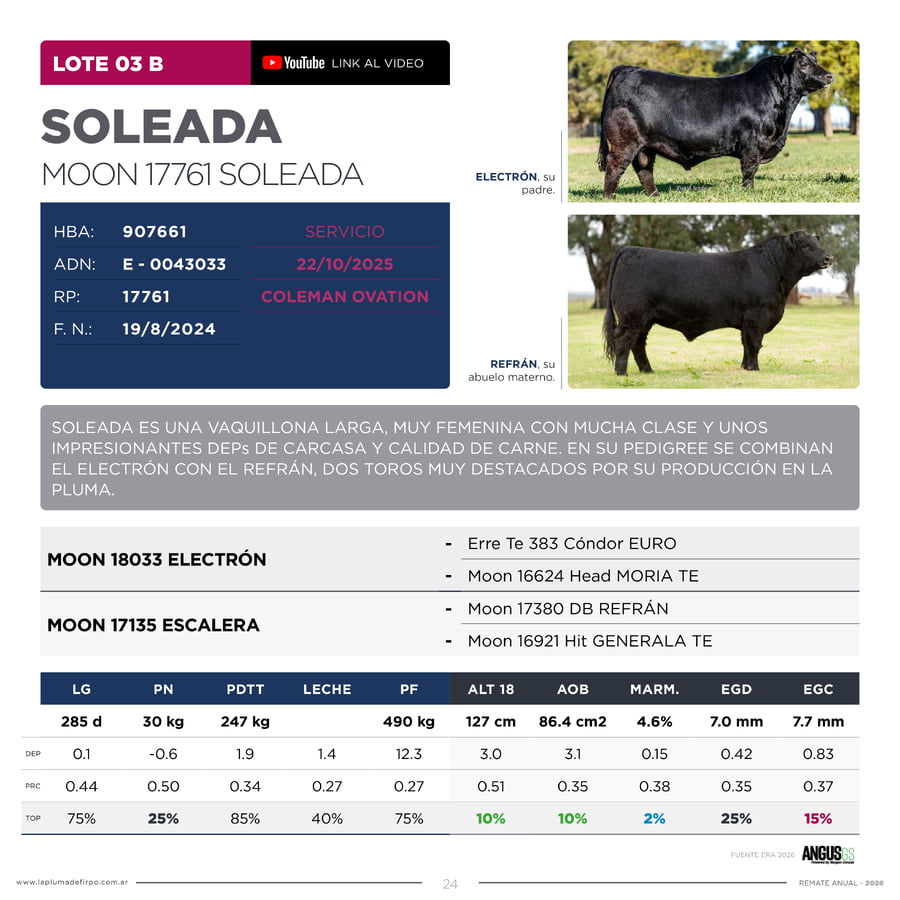 Lote RP 17741 Y 17761 - VAQUILLONAS PP ELITE VENTA DE UNA ELECCION