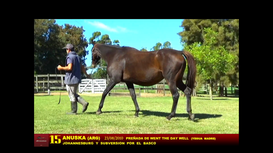 Lote ANUSKA (ARG)