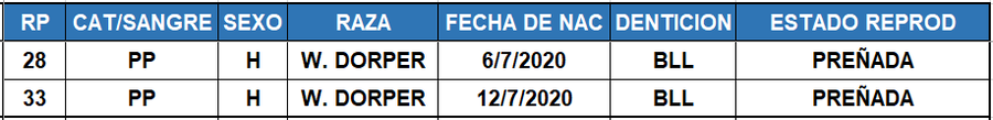 Lote LOTE 25
