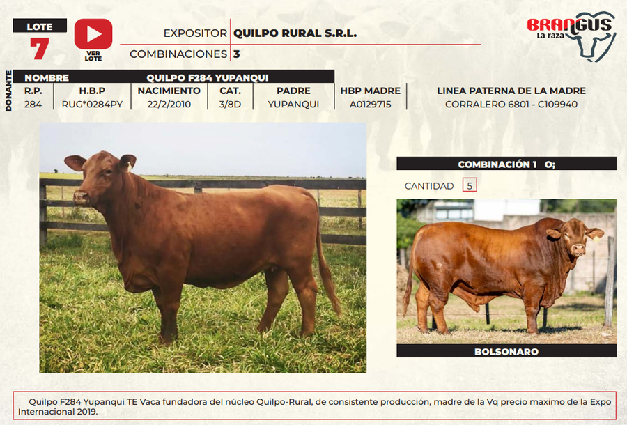 Lote LOTE 7