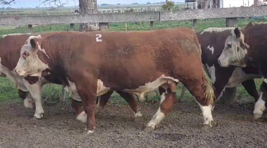 Lote Cabaña  La Reconquista