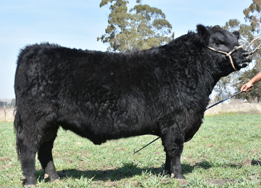 Lote RINCON ILUSIONADOR EXCHANGE