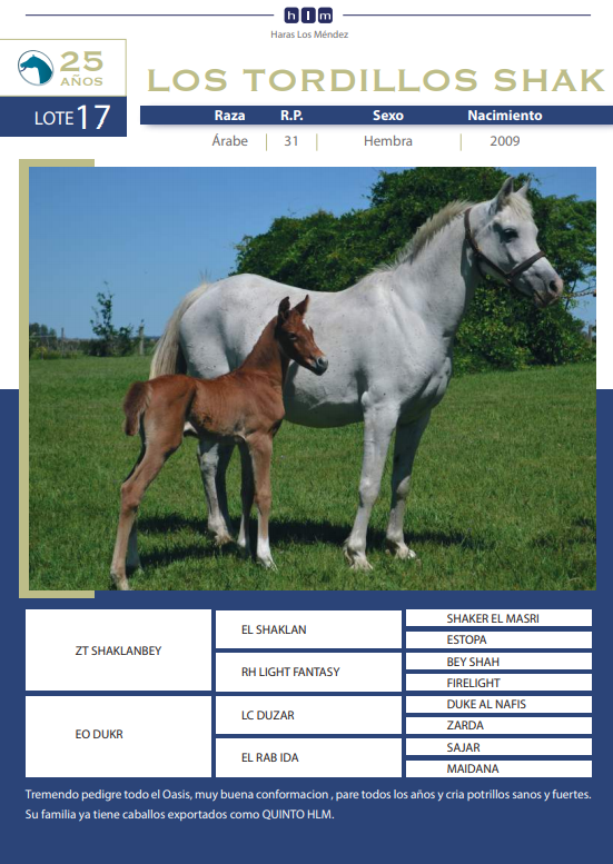 Lote LOS TORDILLOS SHAK