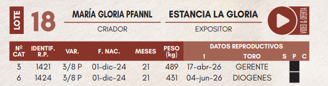 Lote LOTE 18 - VAQUILLAS DE CAMPO