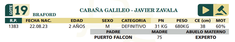 Lote LOTE 19