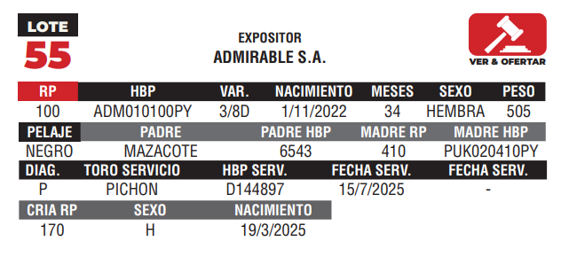 Lote LOTE 55 - CAMPO