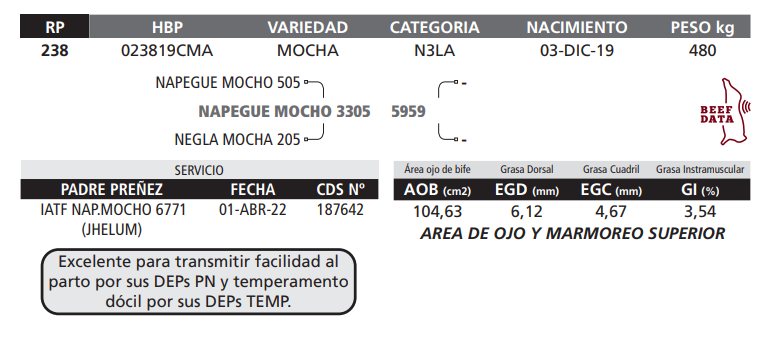 Lote LOTE 21