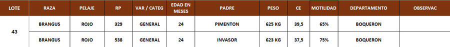 Lote LOTE 43