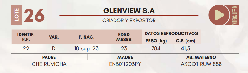 Lote LOTE 26 MACHOS DE CAMPO