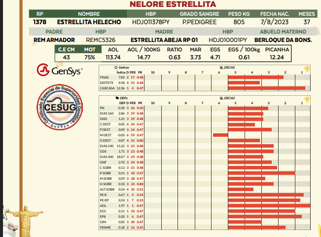 Lote LOTE 64