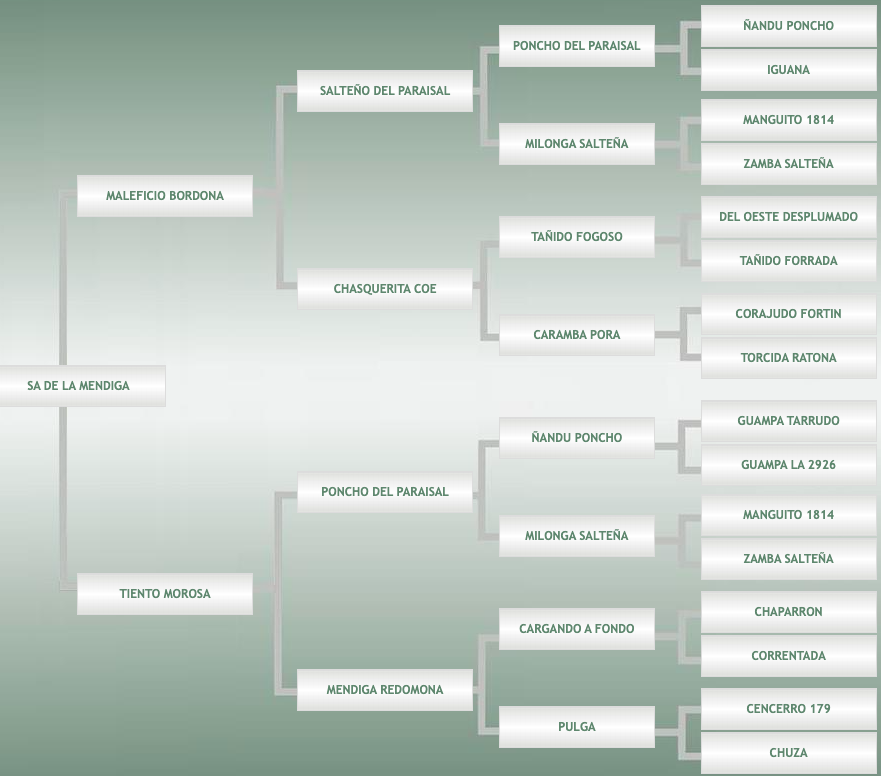 Lote SA De La Mendiga