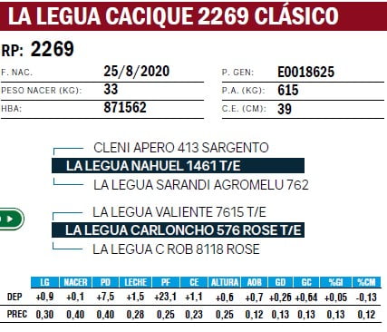 Lote TOROS ANGUS PURO DE PEDIGREE