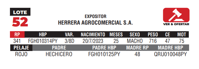 Lote LOTE 52 - CAMPO