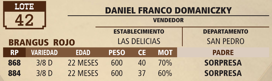 Lote LOTE 42 - VIVO
