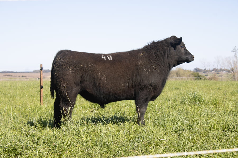 Lote 47