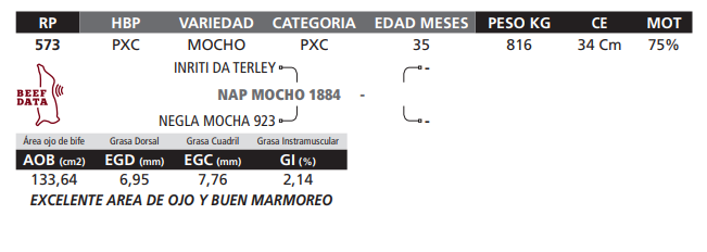Lote LOTE 51