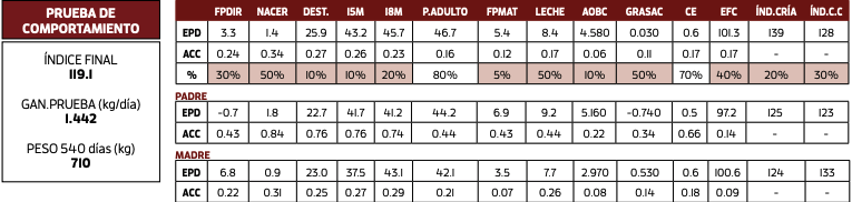 Lote SERRANO 105 TIMES UP