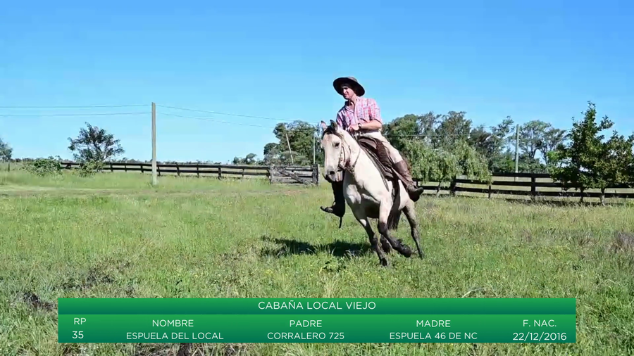 Lote Espuela Del Local