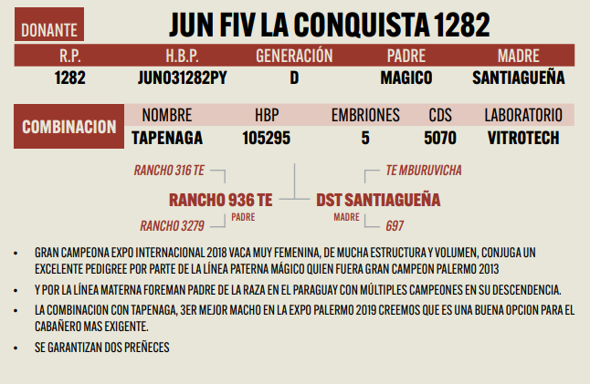 Lote LOTE 13