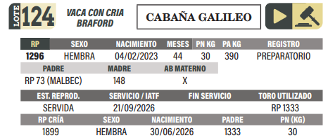 Lote LOTE 124