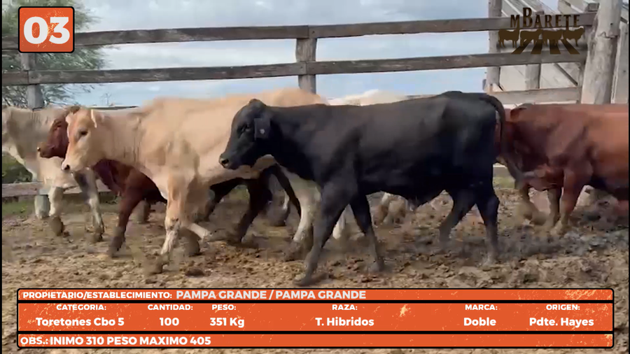 Lote LOTE 3