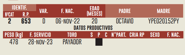 Imagen 2 del Lote Lote LOTE 4