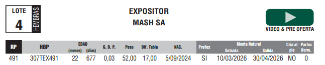 Lote LOTE 4