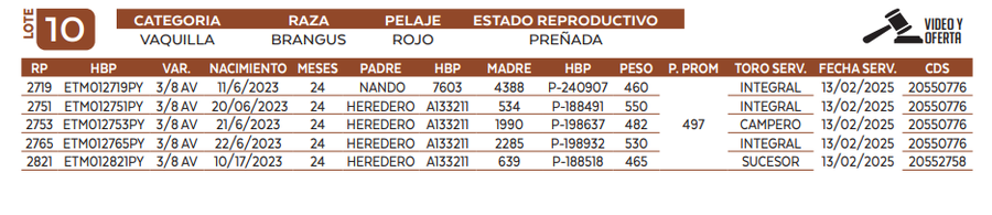 Lote LOTE 10