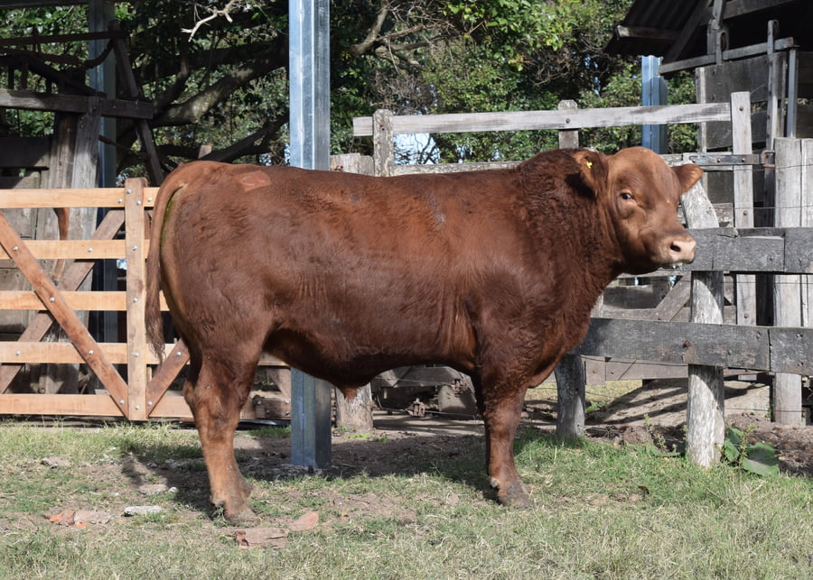 Lote CABAÑA “COEMBOTÁ” de Calderón RP 102