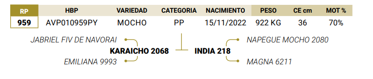 Lote LOTE 42