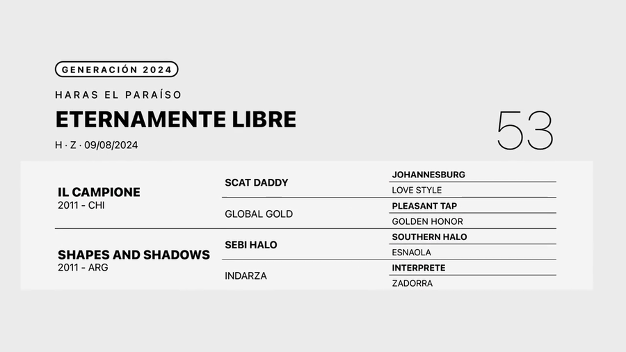 Lote ETERNAMENTE LIBRE