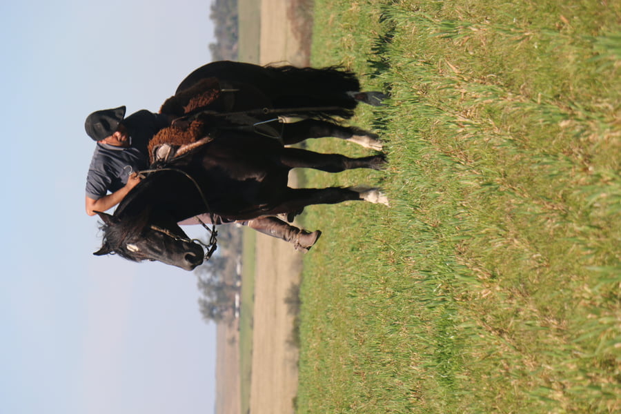 Lote TIZON DEL CONVENTOS