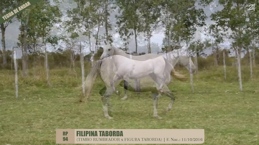 Lote FILIPINA TABORDA
