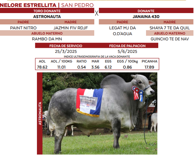 Lote LOTE 39