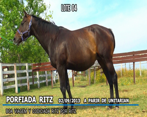 Lote PORFIADA RITZ