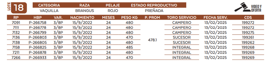 Lote LOTE 18