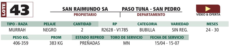 Lote LOTE 43