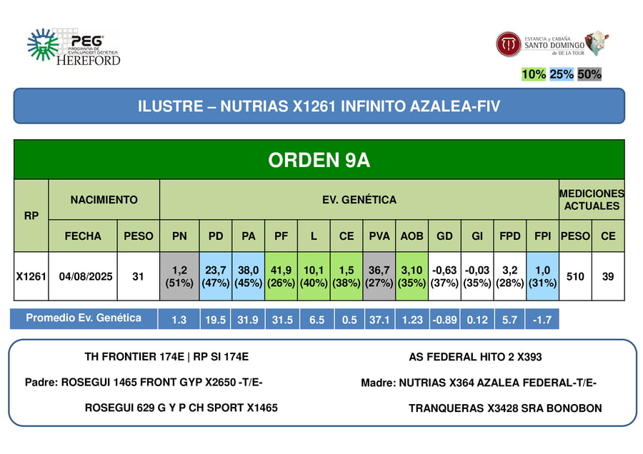 Lote ORDEN 9 TERNEROS PP