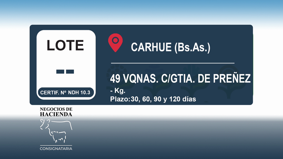Lote 49 Vaquillonas C/ gtia de preñez en Buenos Aires, Carhue