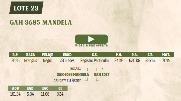 Lote LOTE 23