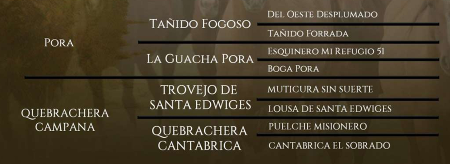 Lote Santa Gloria Campanilla