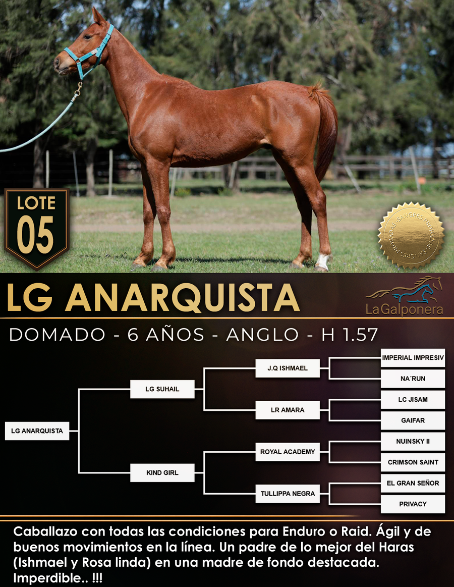 Lote LG ANARQUISTA