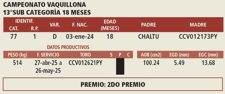 Lote LOTE 4