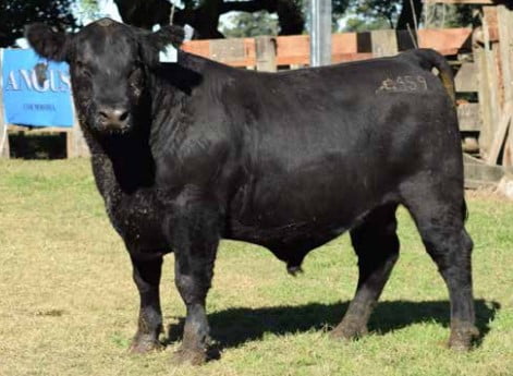 Lote CABAÑA "COEMBOTA" DE CALDERÓN RP 159