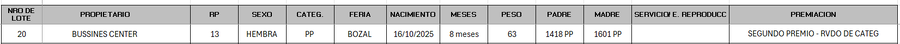 Lote LOTE 20 - BOZAL