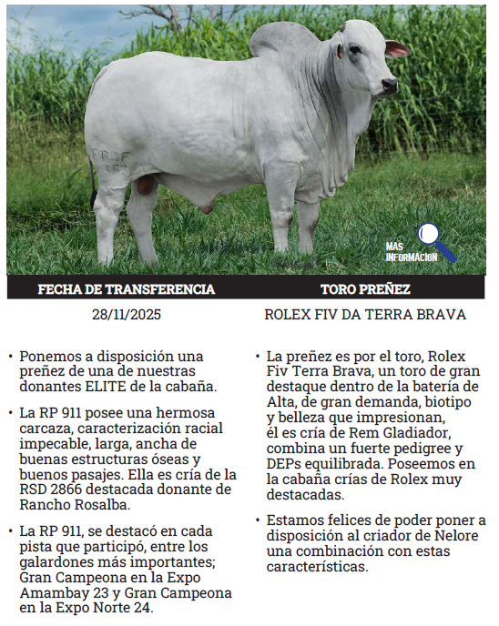 Lote LOTE 5 - PREÑECES